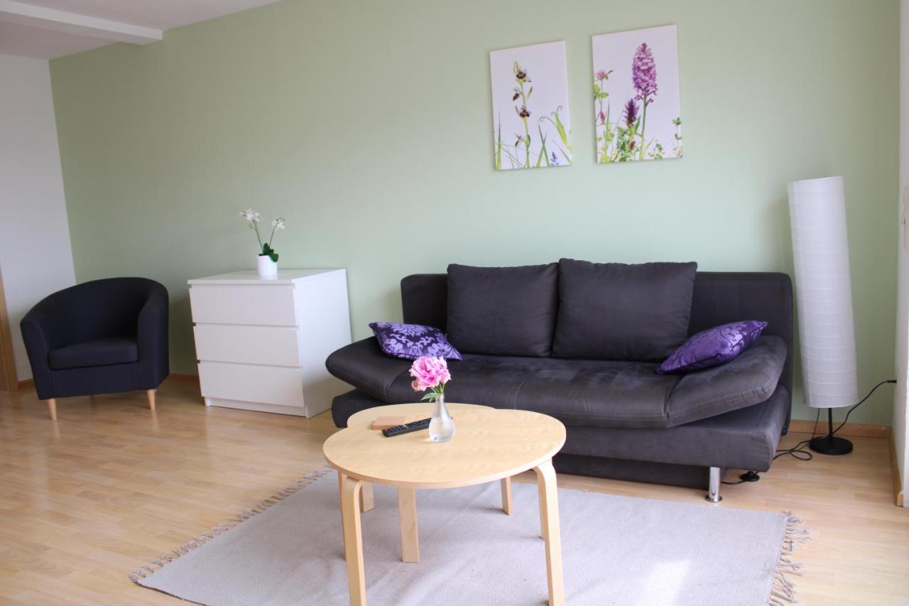 Winzerhof Senn Apartment Vogtsburg Luaran gambar