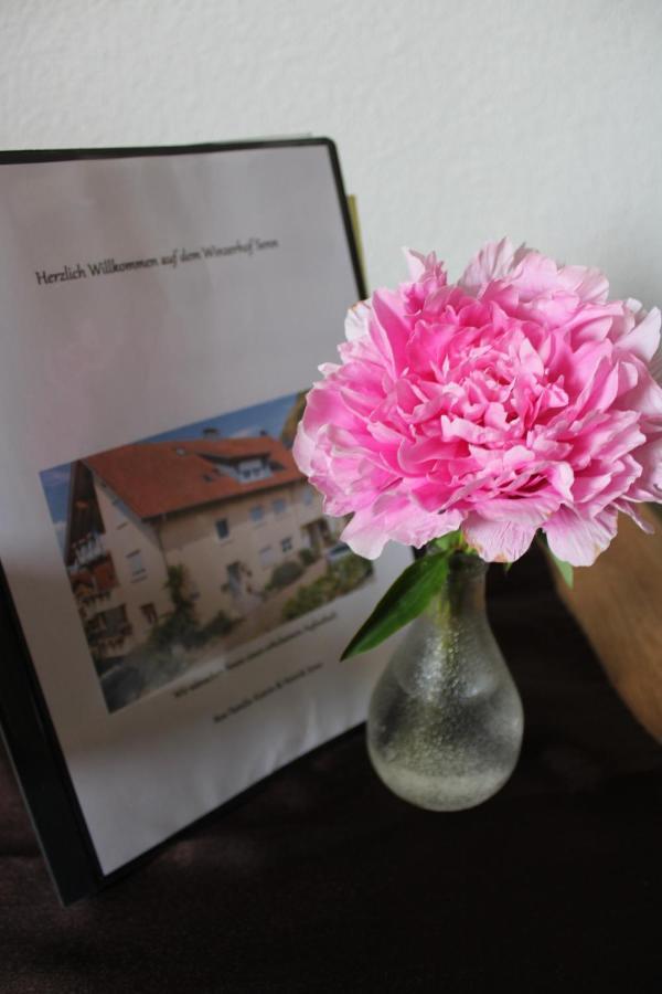 Winzerhof Senn Apartment Vogtsburg Luaran gambar
