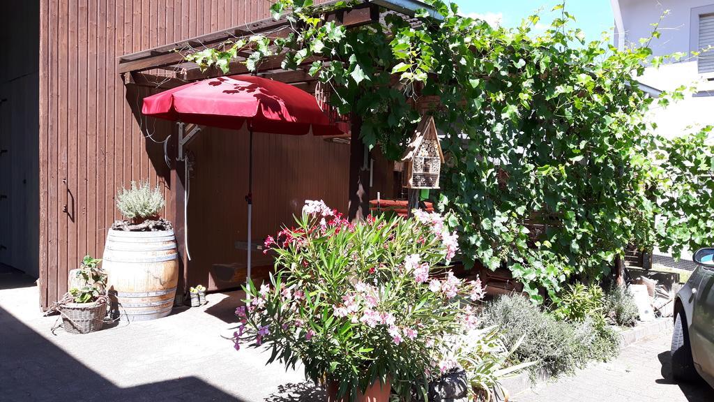 Winzerhof Senn Apartment Vogtsburg Luaran gambar