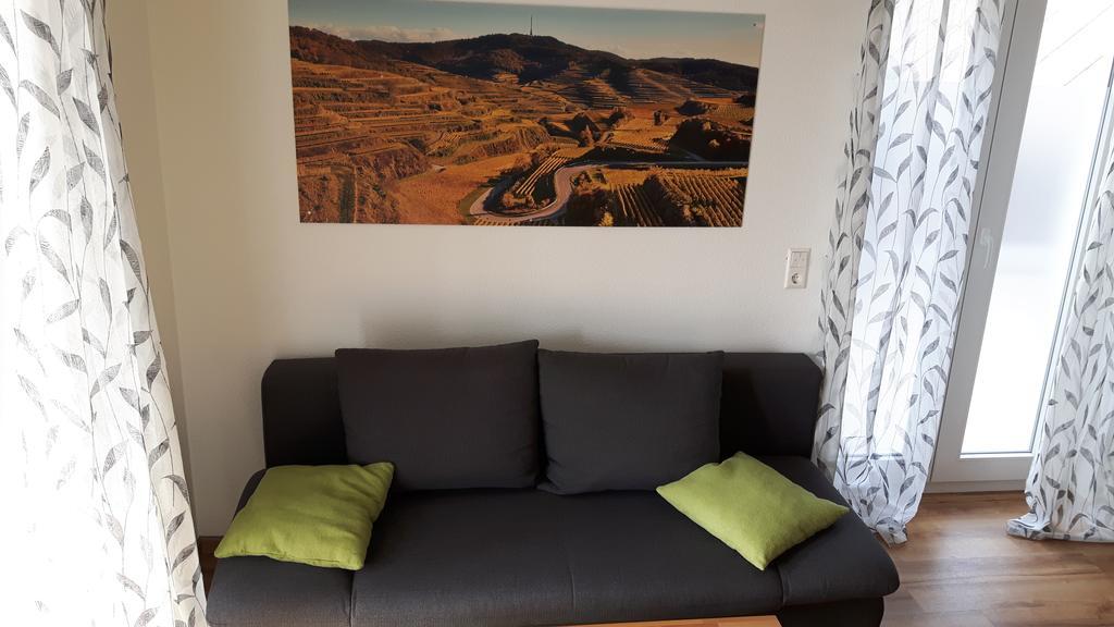 Winzerhof Senn Apartment Vogtsburg Luaran gambar
