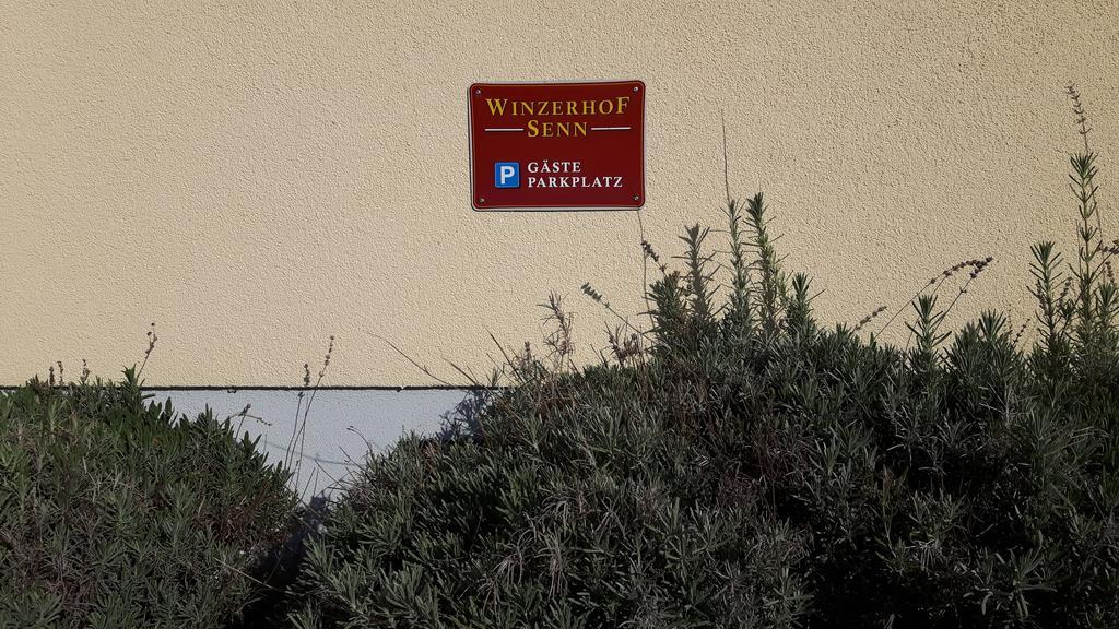 Winzerhof Senn Apartment Vogtsburg Luaran gambar